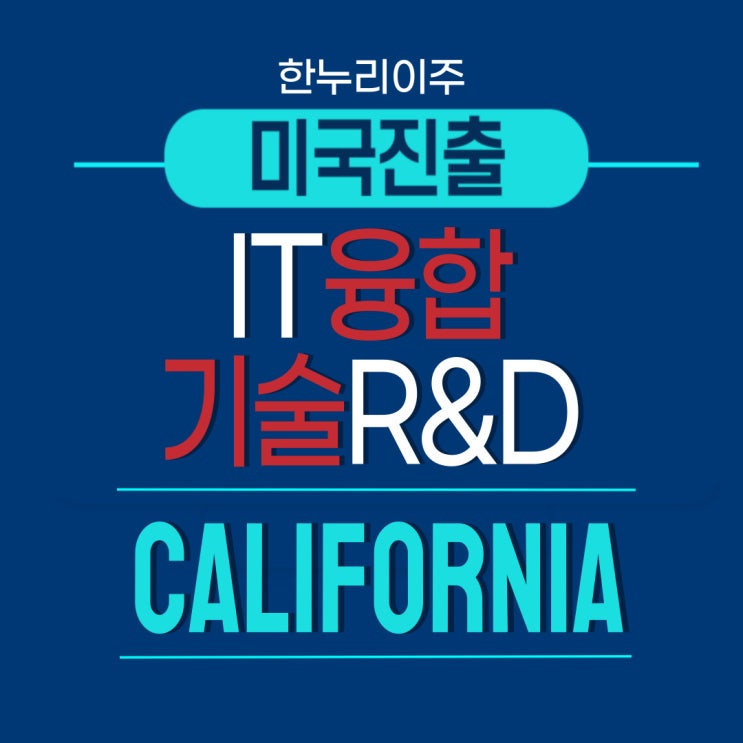  IT융합 기술R&D 정보통신사업 미국 캘리포니아주 법인설립