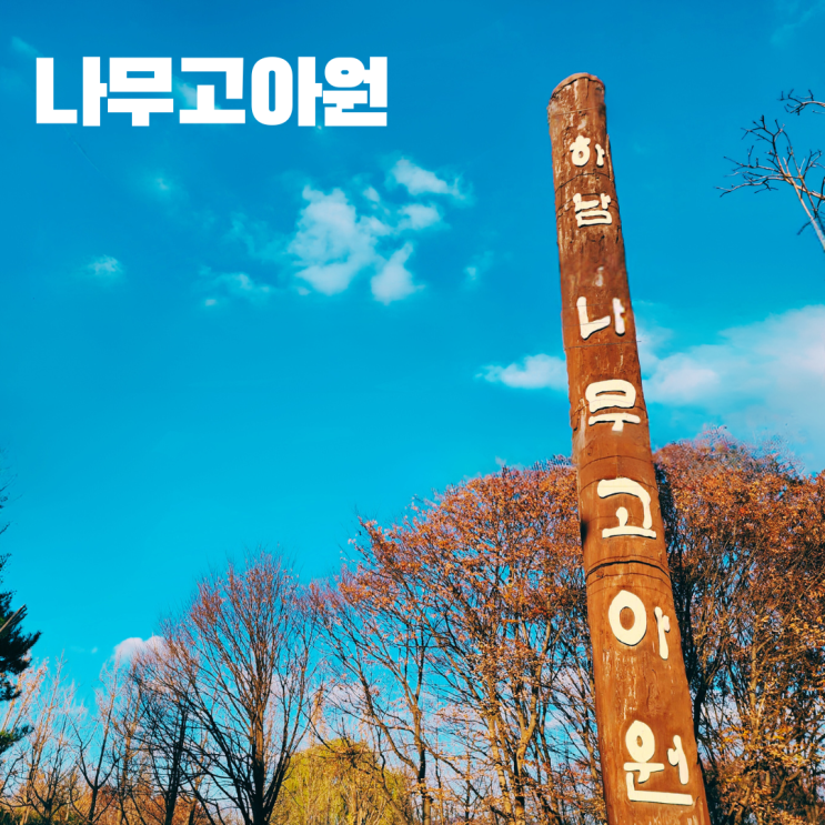  하남 나무고아원 서울 근교 나들이 유아숲체험 아이와 가볼만한 곳 주차