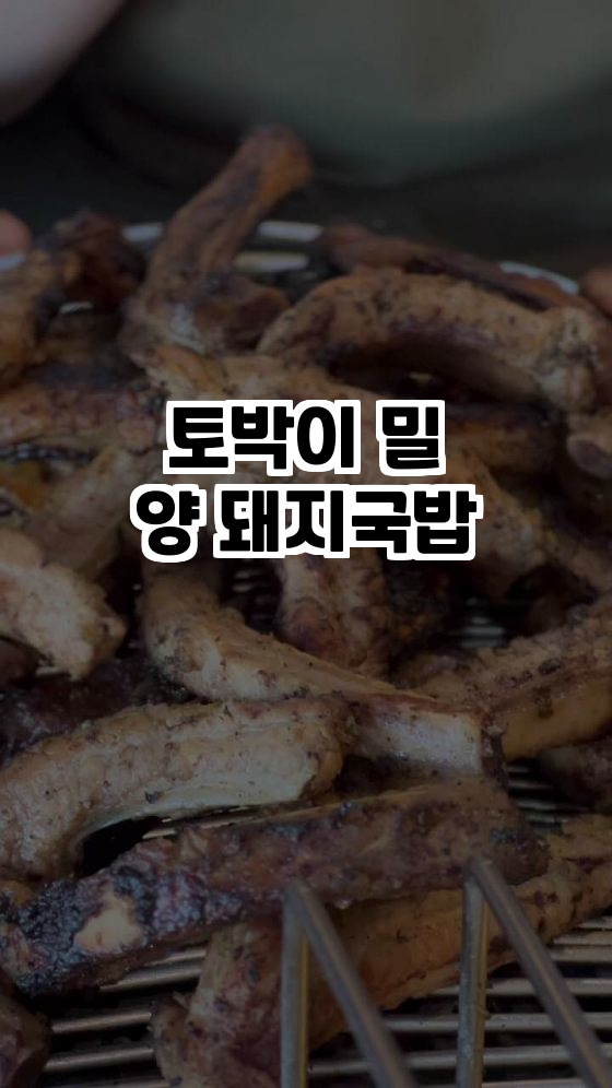  토박이 밀양 돼지국밥, 진한 맛의 오아시스! 