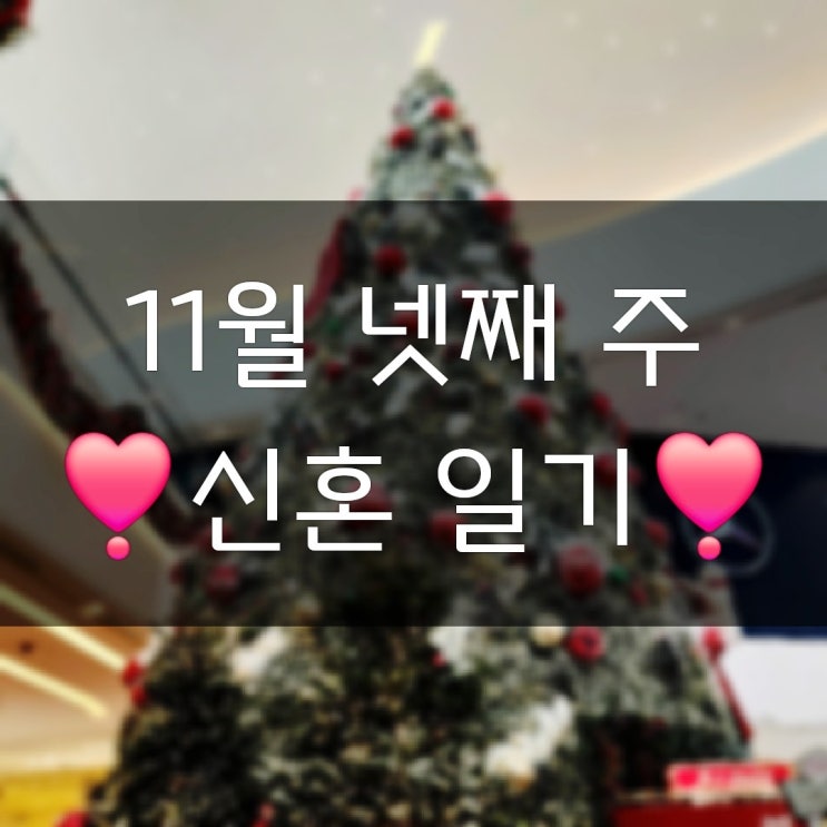  11월 넷째 주의 기록(피의게임3 남양주 제이포텐 하남스타필드)