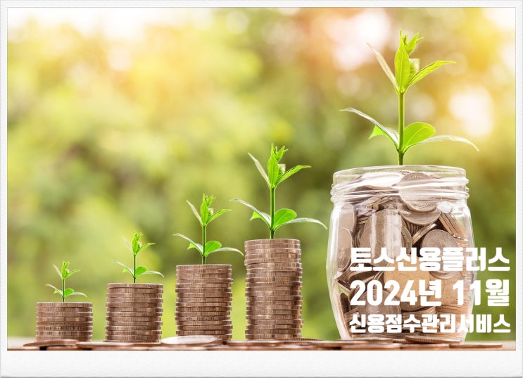  토스 [신용플러스] 유료 서비스