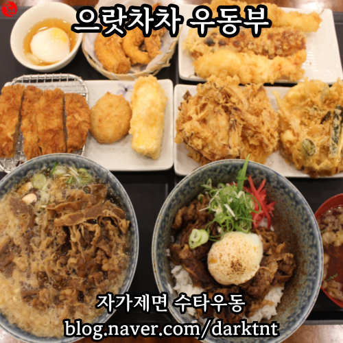 제주공항 근처 노형 제주 시내 자가제면 수타 우동 가성비 맛집