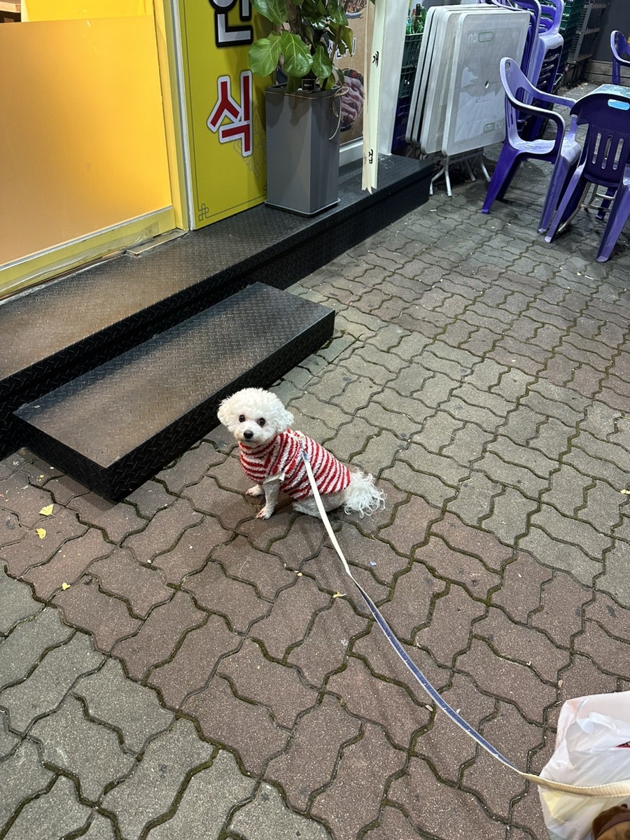 신박한식 사진 3