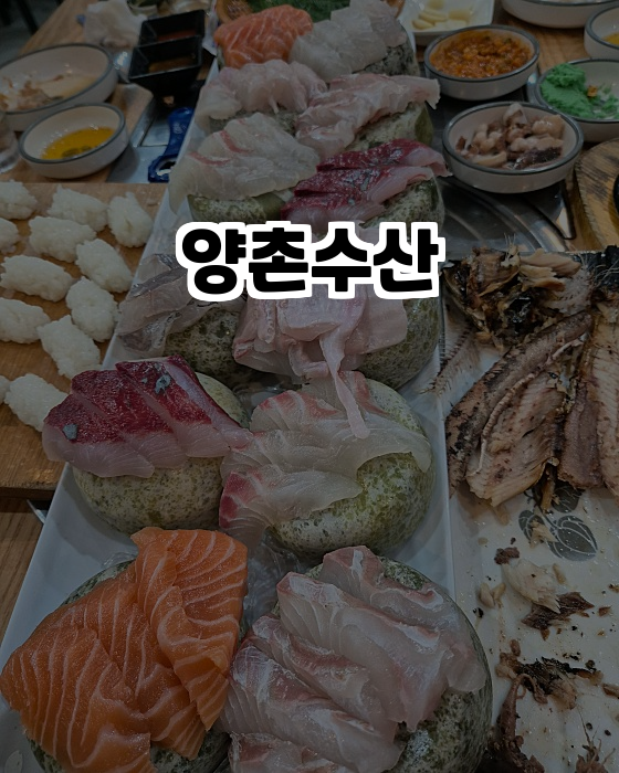  김포 맛집 양촌수산, 가성비 좋은 회의 천국!