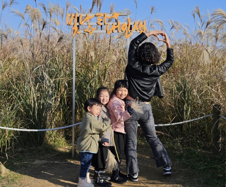  11월 셋째주 삼남매일상 in 하늘공원 맹꽁이 전기차 정보