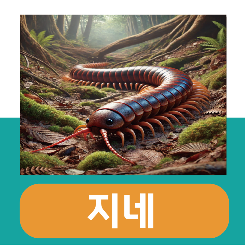 지네 효능 및 부작용 / 가루 먹는법