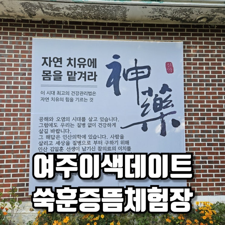  쑥훈증뜸체험장 건강에 좋은 여주 이색 데이트