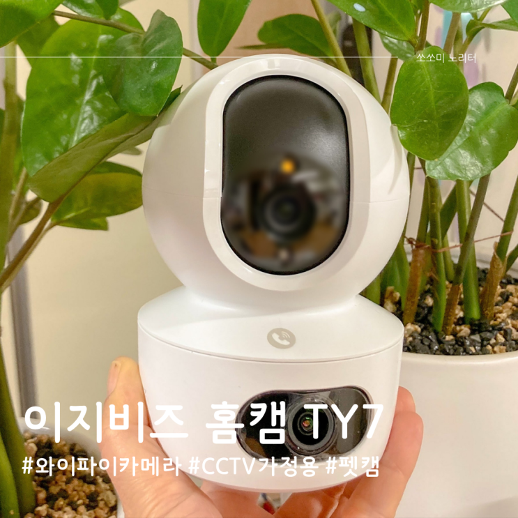  이지비즈 홈캠 TY7 와이파이카메라 포함 CCTV가정용 스마트 펫캠