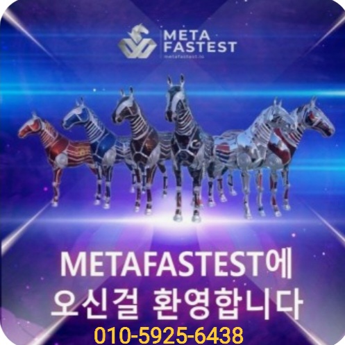  메타페스티스트 강의자료
