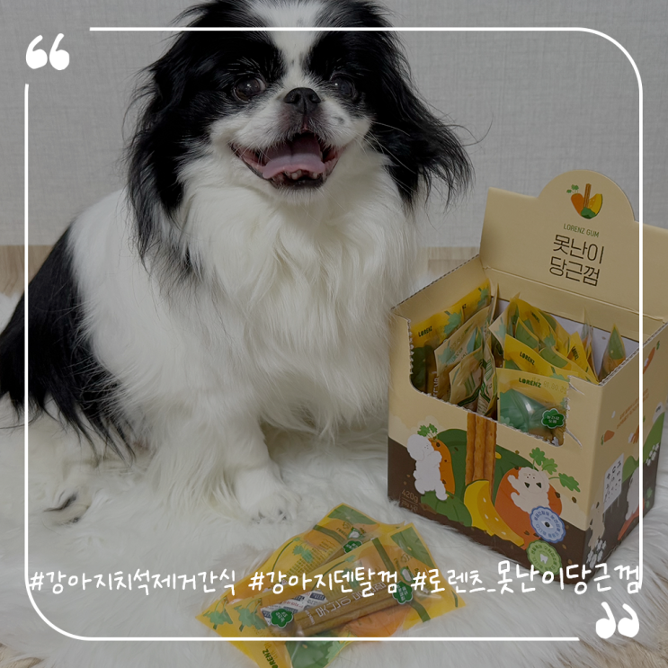  강아지치석제거간식추천 강아지덴탈껌 로렌츠 못난이당근껌