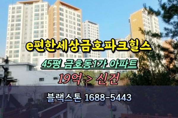  e편한세상금호파크힐스 경매 45평 금호1가 아파트