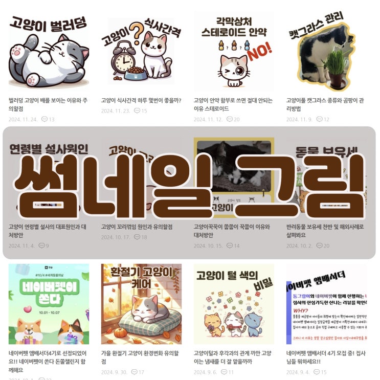  블로그 썸네일 고양이 그림 만들기 AI  Bing Image Creator