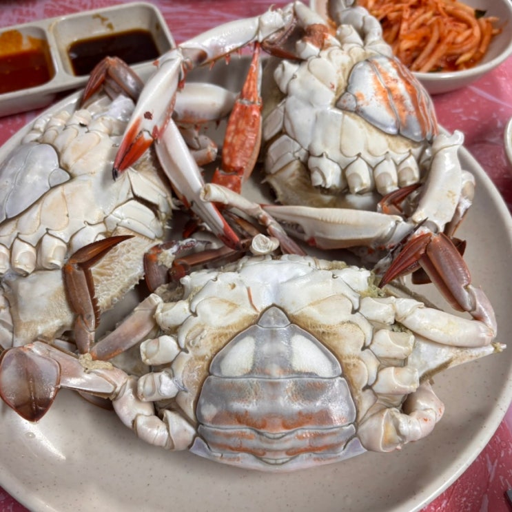  노량진 수산시장 대게로 유명한 순천만상회 꽃게 석화 후기, 초장집 가격 정보