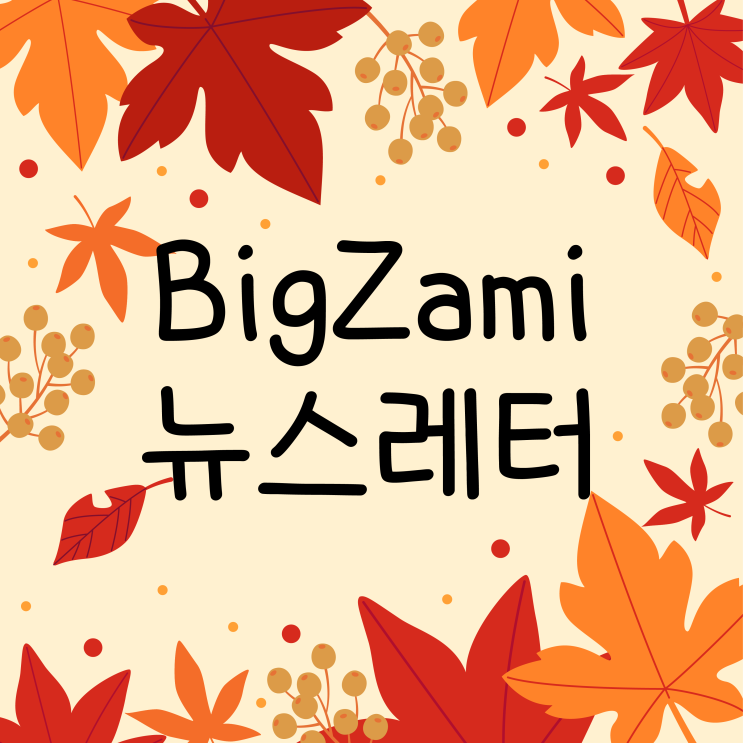  뉴스레터 [빅재미 주간소식 2024.11.21]