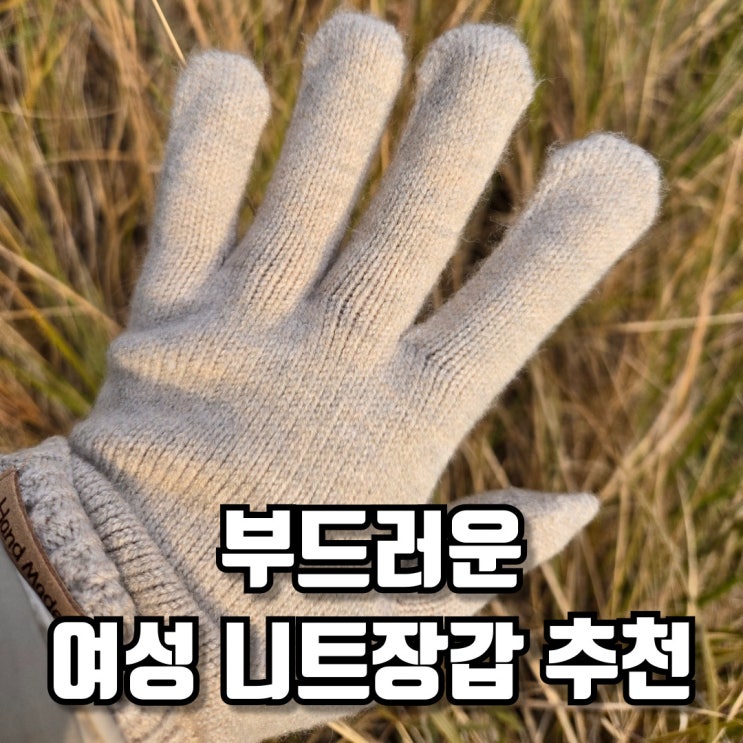  부드러운 여성 니트장갑 추천