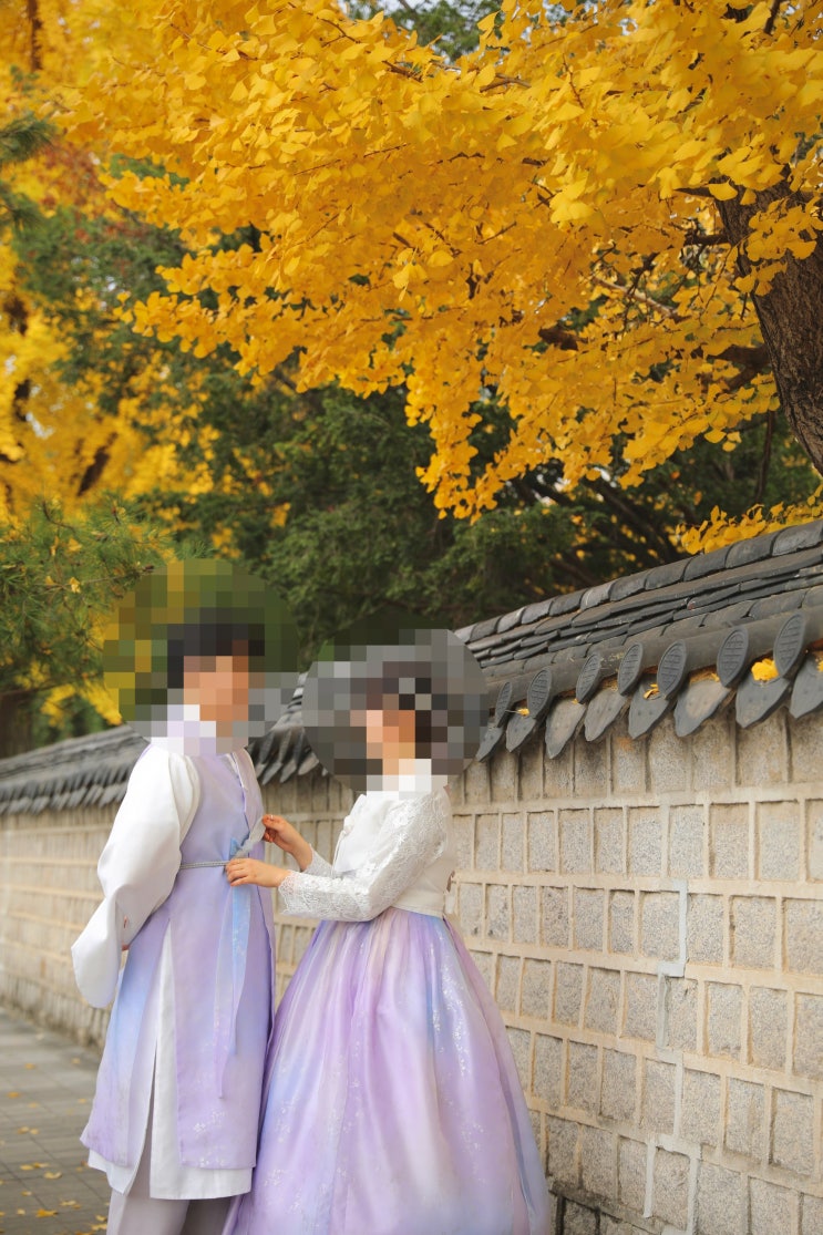  [전주여행] 전주,군산 2박3일 11월 가을여행
