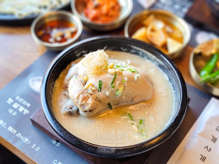  담양호 근처 신상맛집 삼계사계 삼계탕 담양 현지인 맛집
