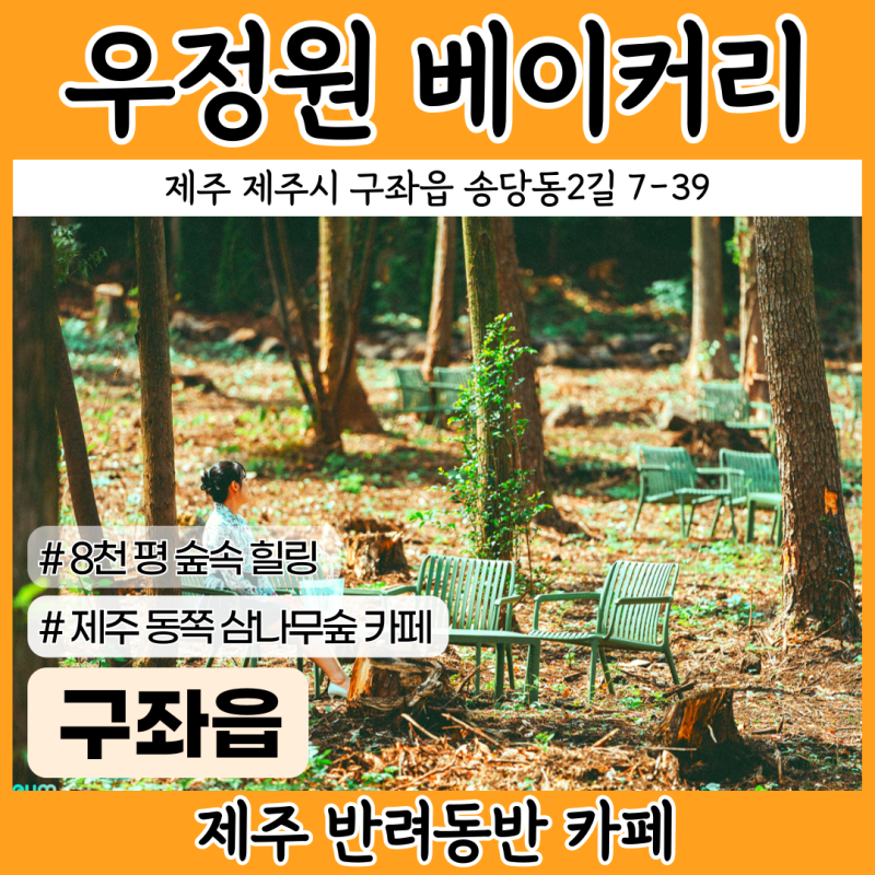 사진 5