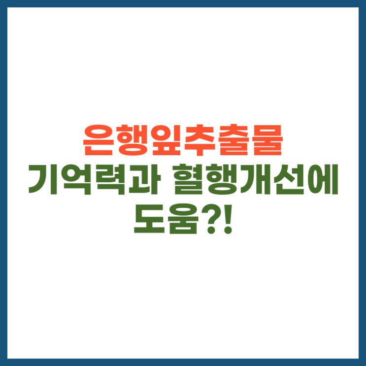  은행잎추출물, 기억력과 혈행개선에 도움?!