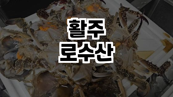   활주로수산: 수산물의 성지, 당신의 미식 여행을 시작하세요! 