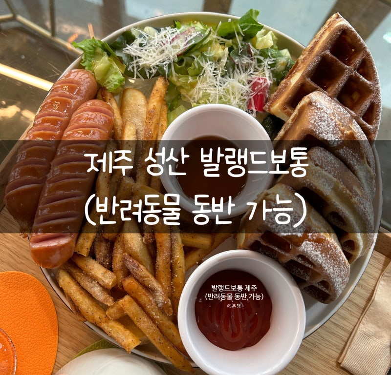 사진 4