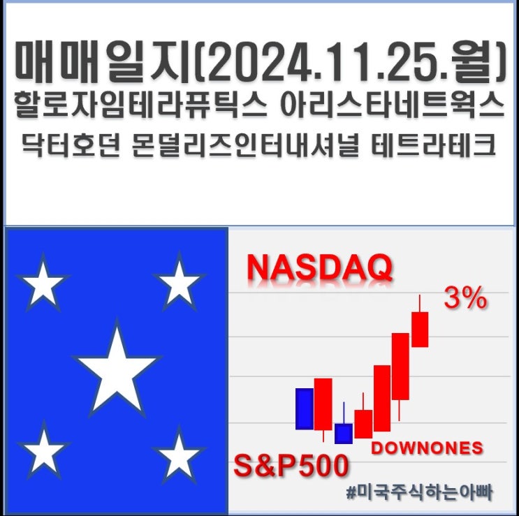  매매일지('24.11.25.월) 할로자임테라퓨틱스,아리스타네트웍스,닥터호턴, 몬덜리즈, 테트라테크