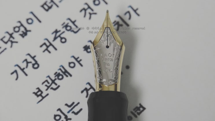  보관해야 할 생각 (파이롯트 커스텀 우루시 30호 FM닙 만년필로 필사하기)