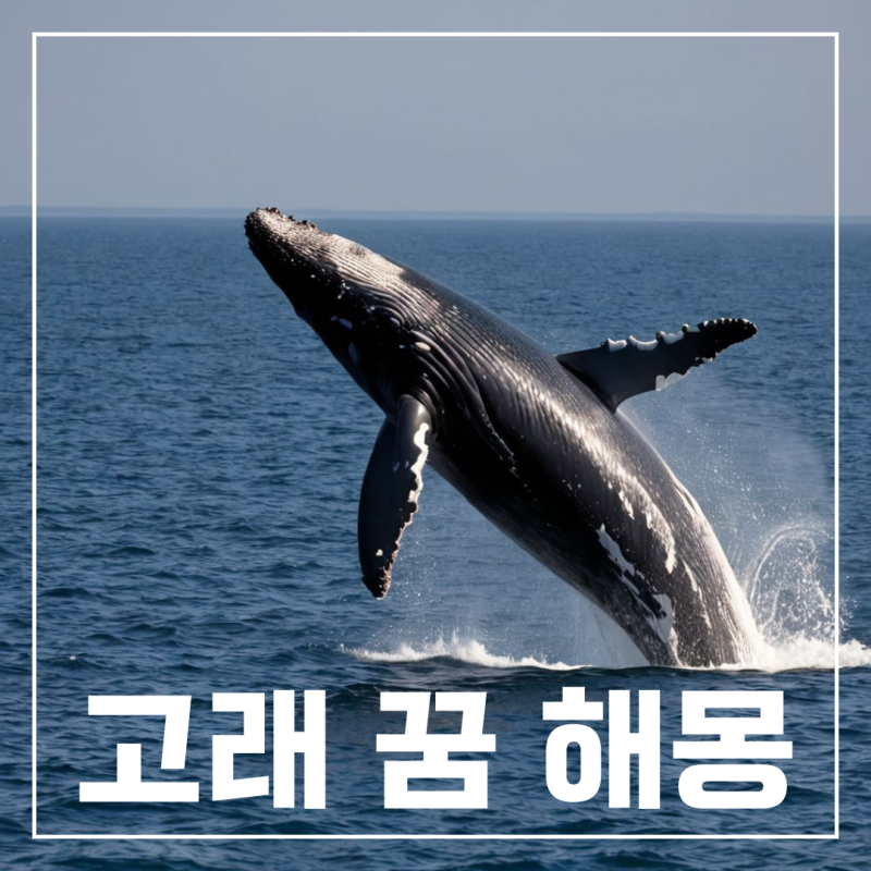 큰 고래 보는 꿈 고래 나오는 꿈 해몽