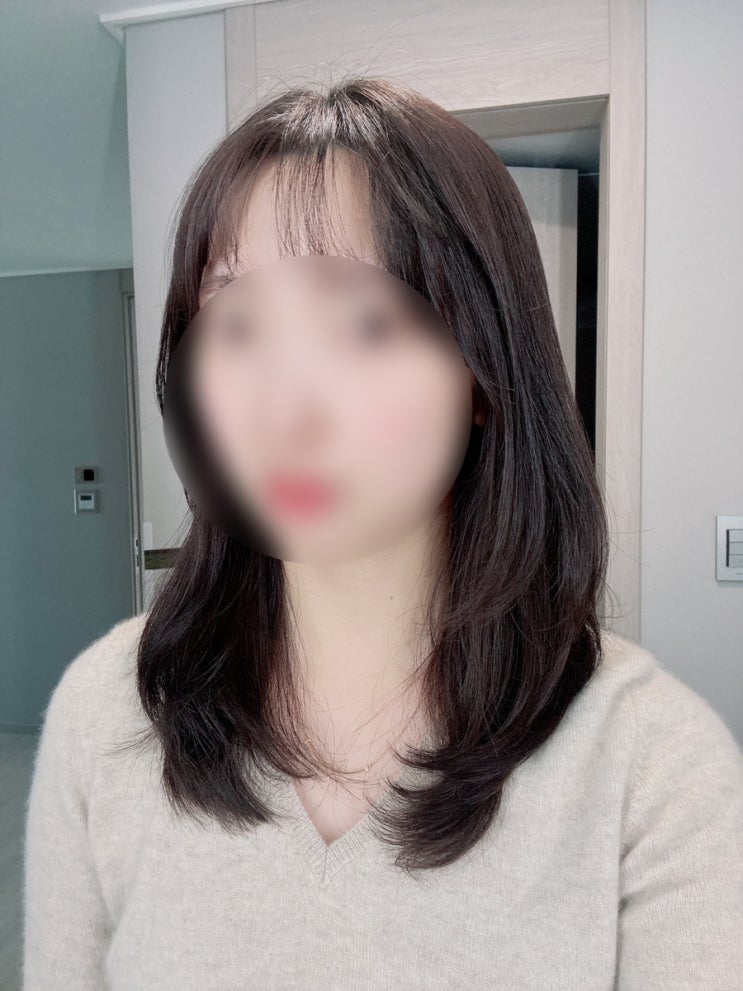  의정부 회룡역 미용실 헤어살롱하다 레이어드 c컬펌 후기