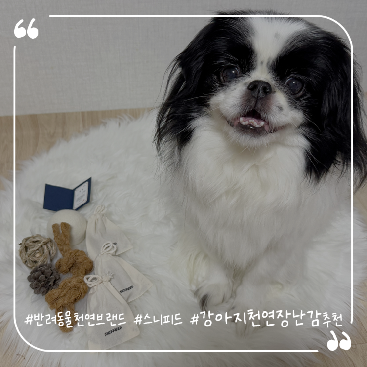  강아지장난감추천 반려동물천연브랜드 스니피드 강아지천연장난감