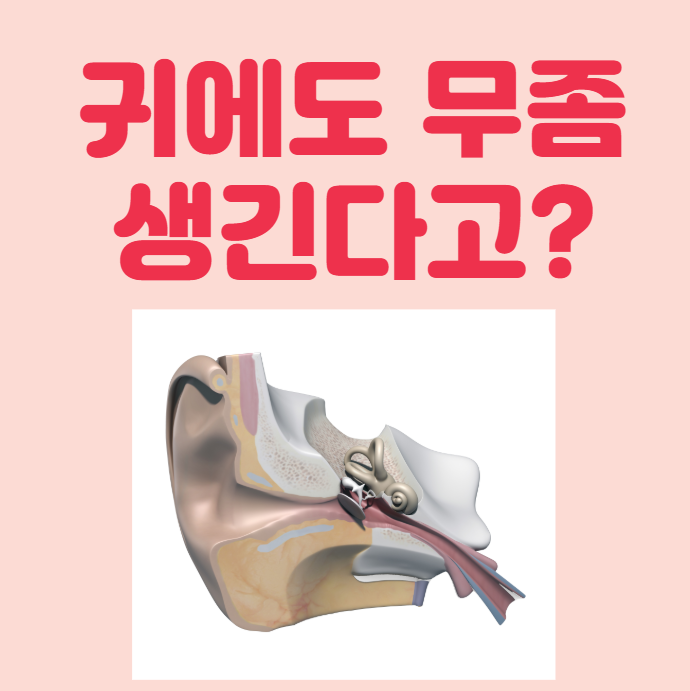 울산방문요양/ 귀에도 무좀 생긴다고?