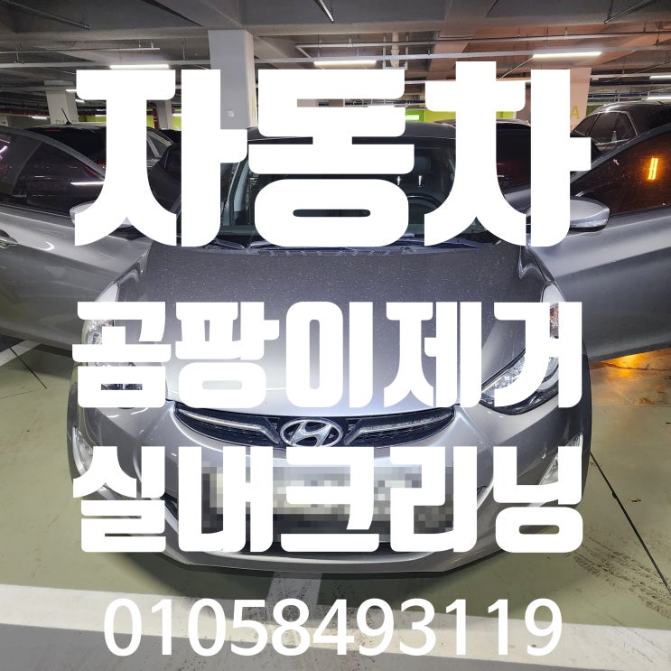  자동차 실내 곰팡이 발생 원인과 해결 실내크리닝