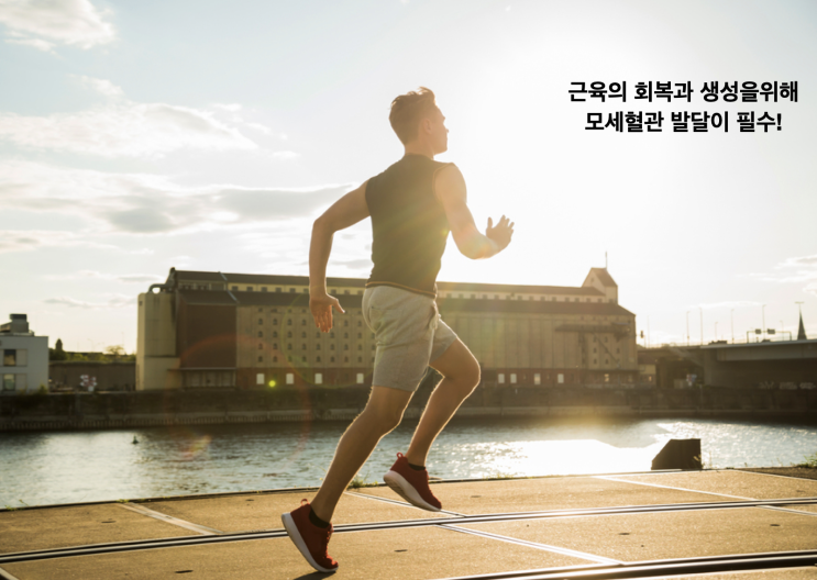  근육발달을 위해서 유산소운동도 필요한 이유