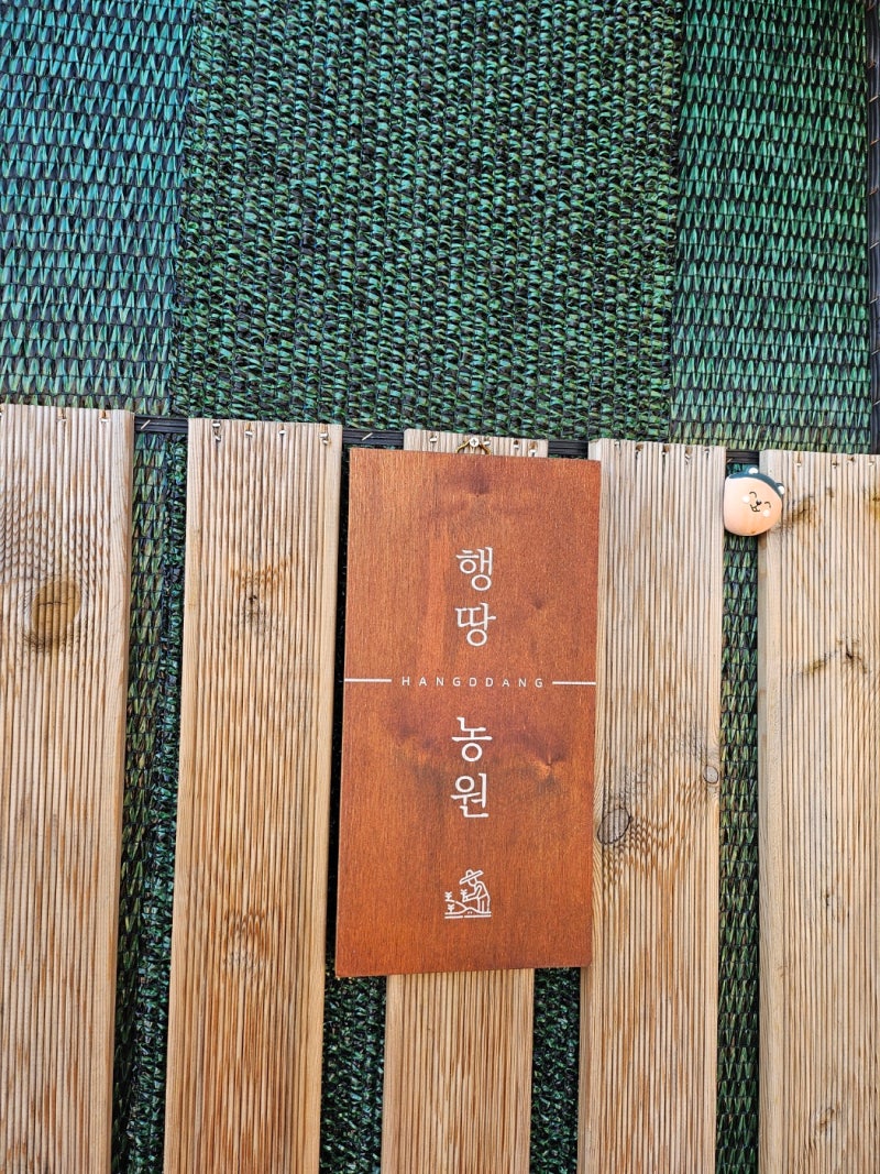 사진 2