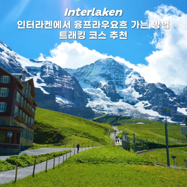  스위스 융프라우요흐 그린델발트 트래킹 루트 금액 일정 경비