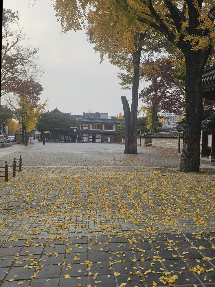  전통의 멋과 아침의 감동이 있는, 전주 한옥마을 소리풍경에서 특별한 모임을!
