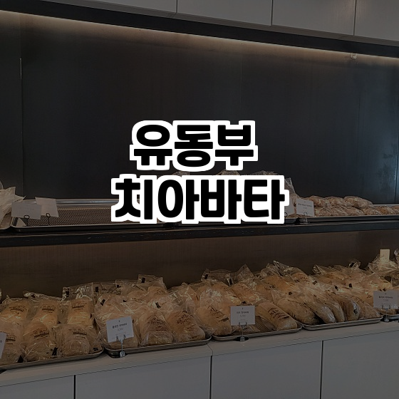  춘천에서 꼭 맛보아야 할 건강빵, 유동부 치아바타!