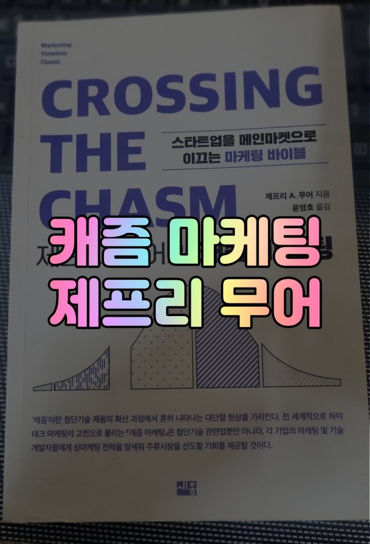 캐즘 마케팅 제프리 무어 책 이야기