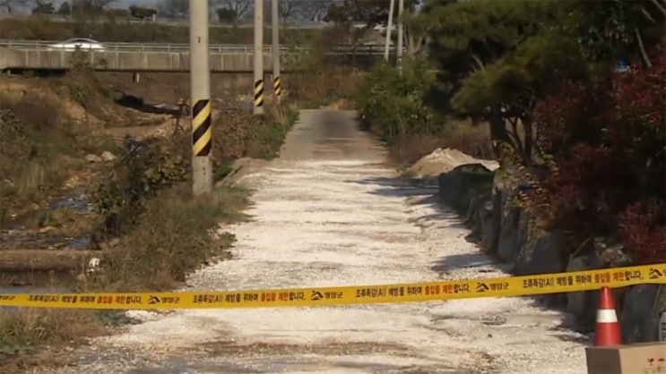 영암 군서면 <b>발생</b> <b>AI</b> ‘<b>고병원성</b> H5N1형’ 확진…전남서 처음... 