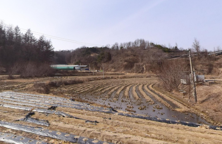 송골 사진 2