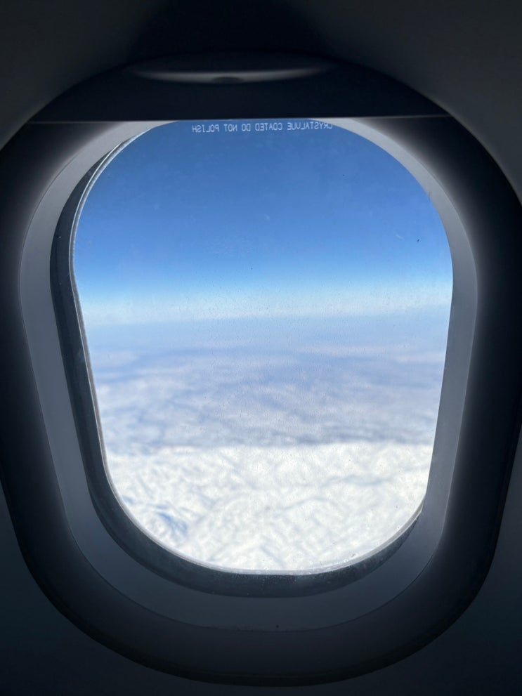  티웨이 프랑크푸르트 직항 유럽노선 이벤트운임 후기(기내식, 수하물, 온라인체크인)