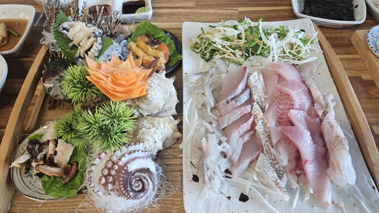 제주 용두암 맛집 광훈이네 자연산 막회 푸짐 가성비 횟집 제주 용두암 맛집 광훈이네 자연산 막회 푸짐 가성비 횟집
