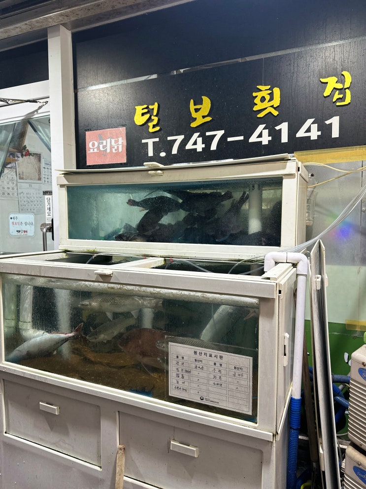  해운대 좌동 회포장맛집 털보횟집 내돈내산리뷰