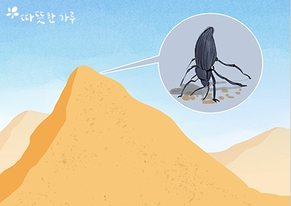  아무것도 없는 땅