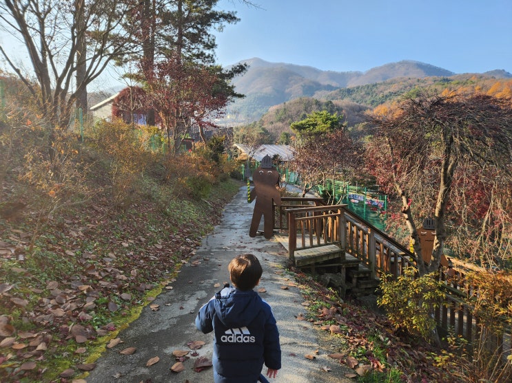  아이와 함께 방문해 본 가평 아침고요가족동물원 다양한 동물과 먹이 체험까지!