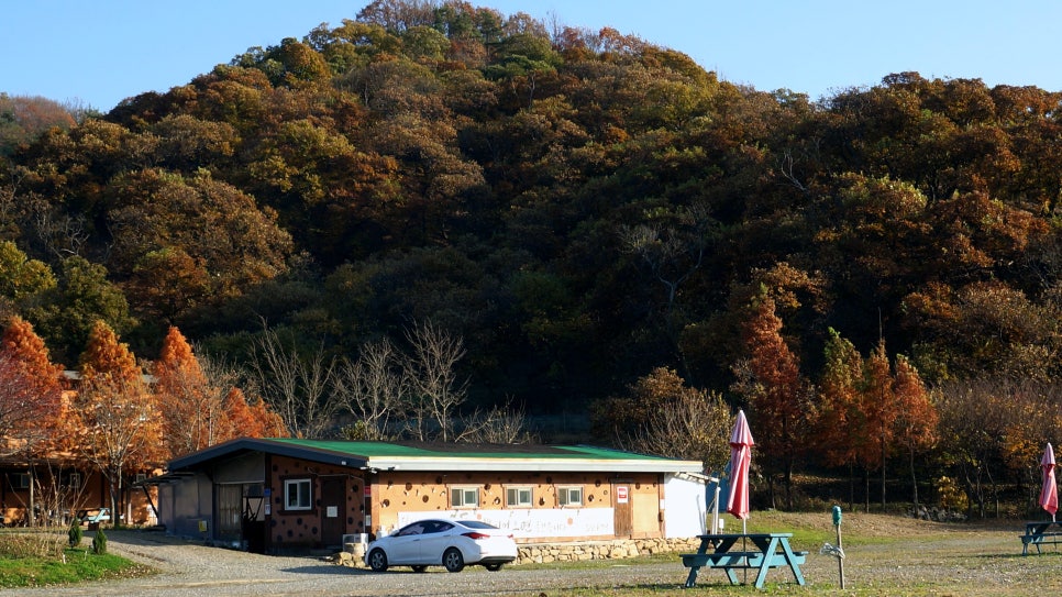 새롬펜션&캠핑 사진 5