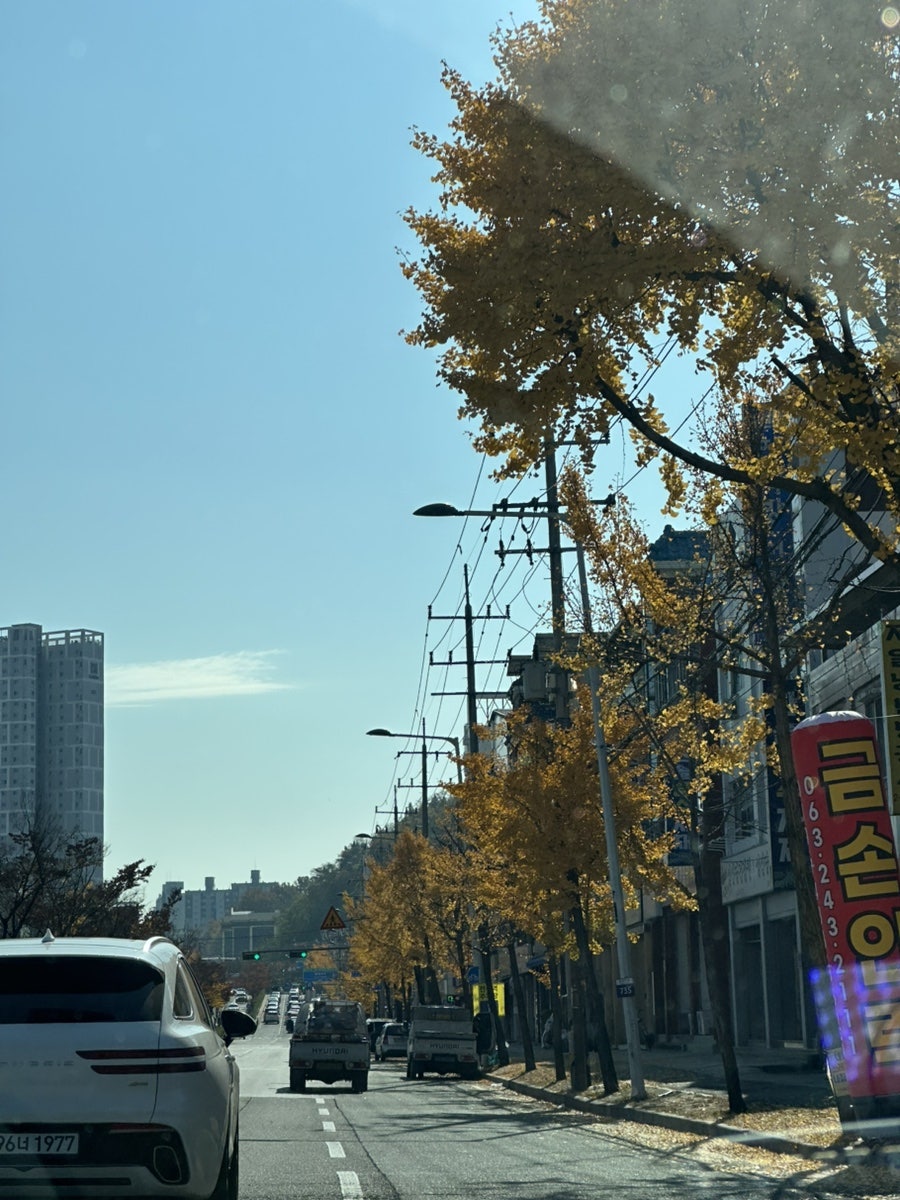 수류산골야영장 사진 1