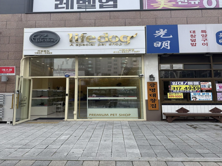  [강아지분양리뷰] 특별한 견종 찾기, 시흥 라이프독 시흥점
