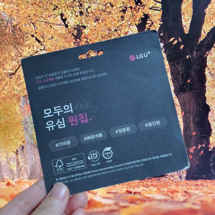  모두의 원칩 파는 곳 확인 및 선불유심 개통 방법