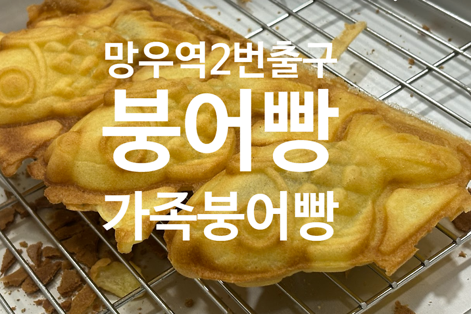 붕어빵가족 사진 4